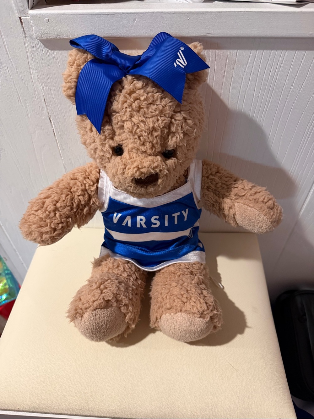 Varsity Cheer Teddy Bear with Blue Bow